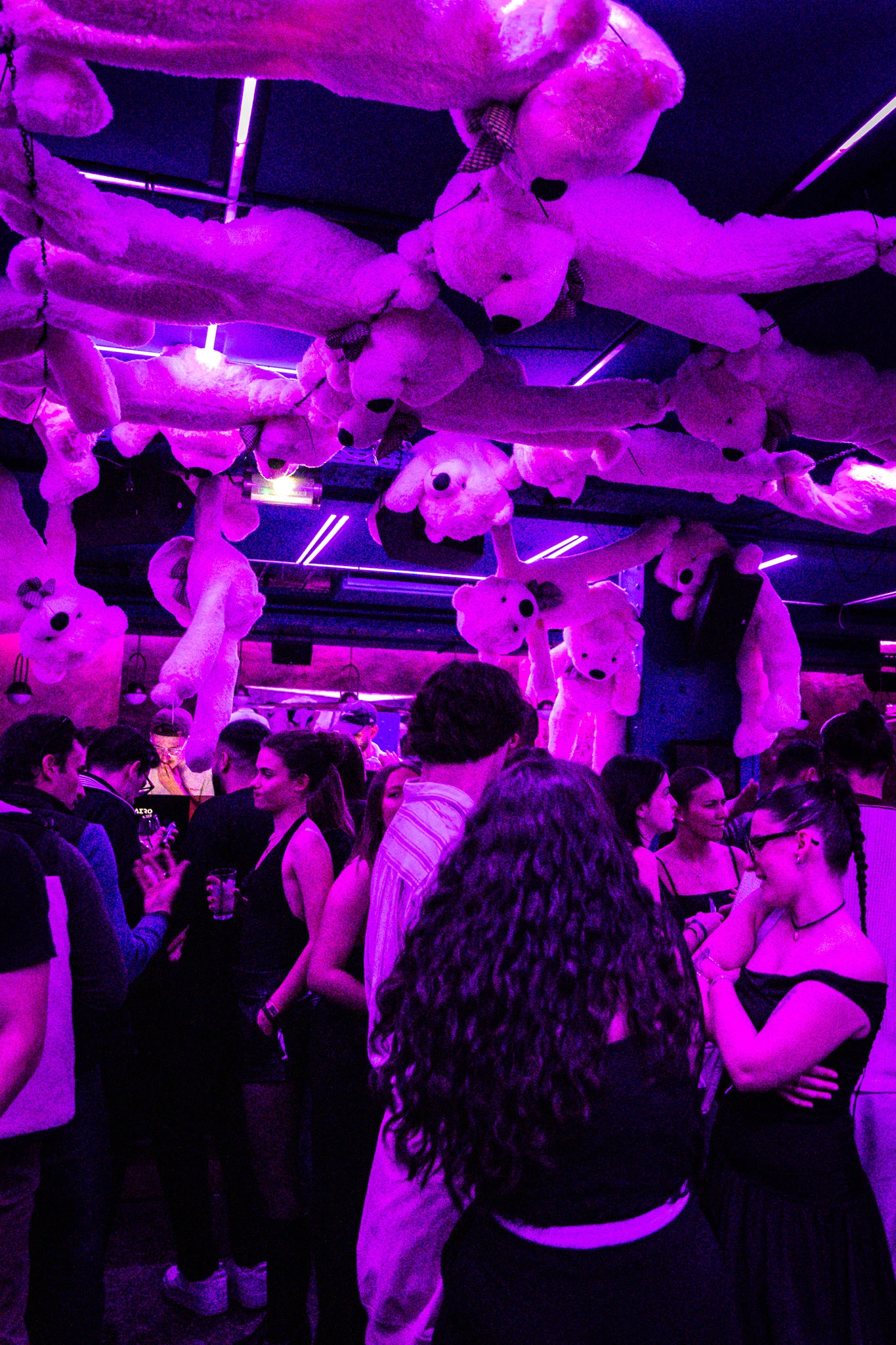 Les lumières violettes illuminent les ours suspendus et créent une atmosphère futuriste et décalée.