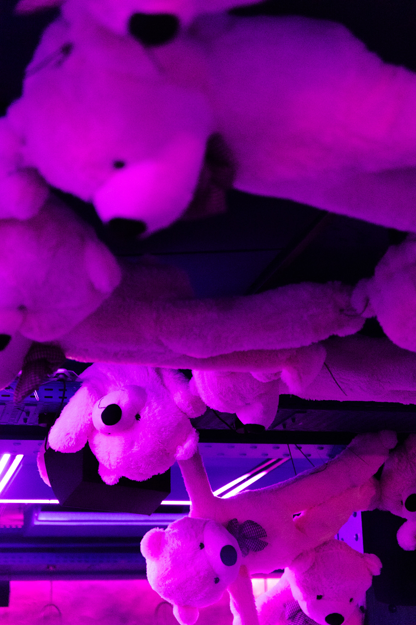 Décoration immersive composée d’ours en peluche roses suspendus au plafond.