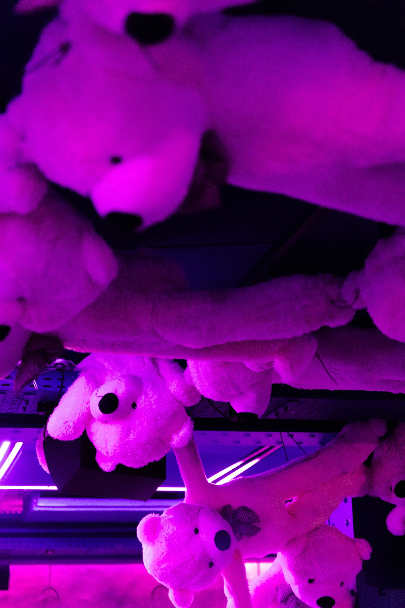 Décoration immersive composée d’ours en peluche roses suspendus au plafond.